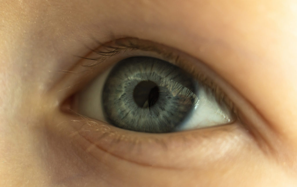 fotografía en color de un ojo joven