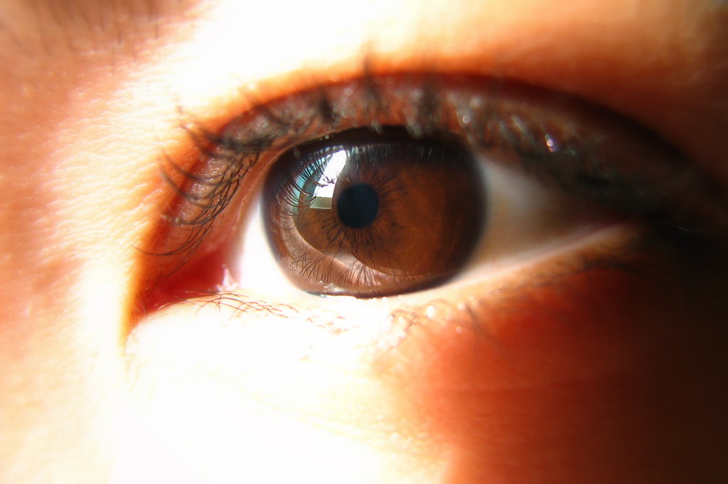 Fotografía en color de ojo de iris marron